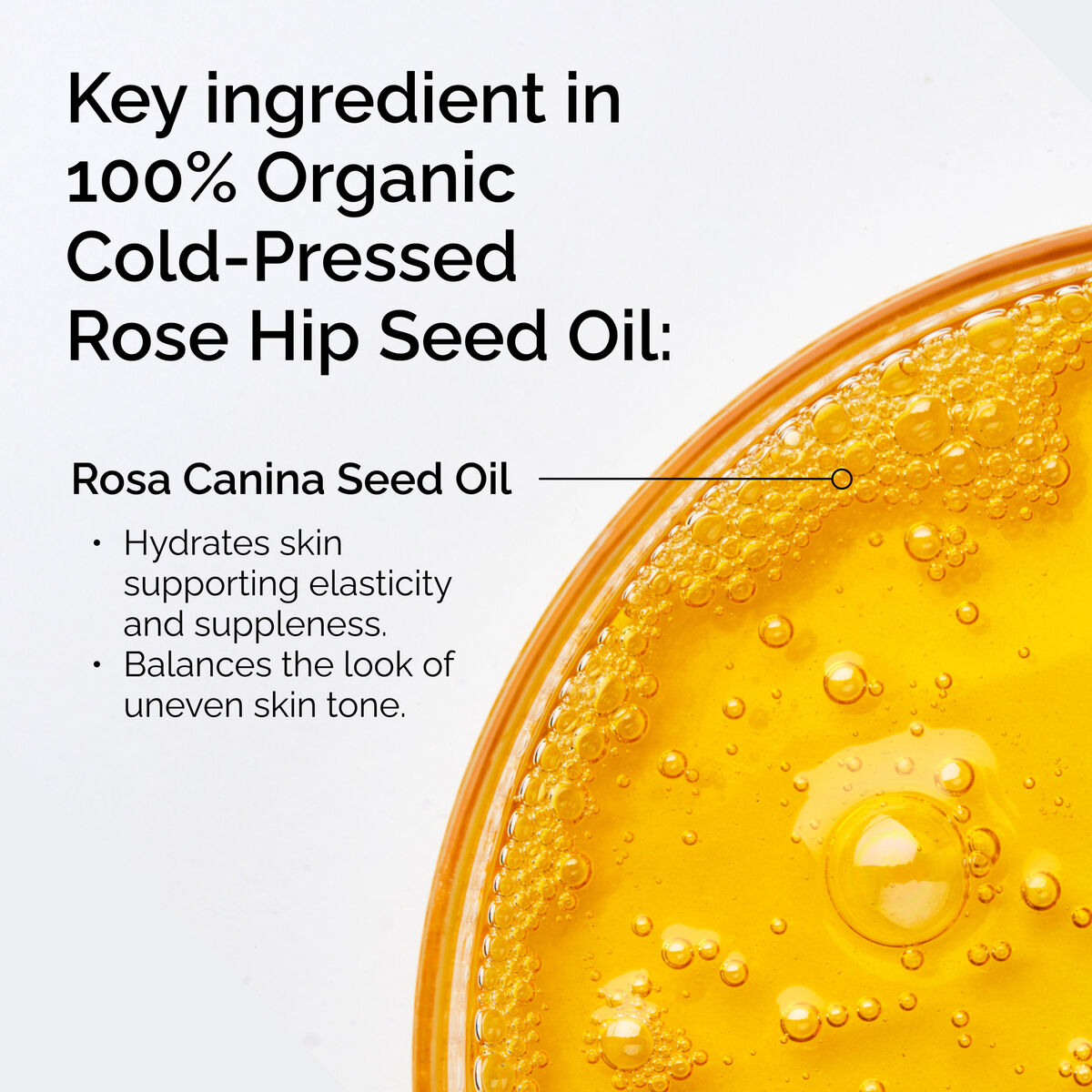 100% Organic Cold-Pressed Rose Hip Seed Oil C5 image 8