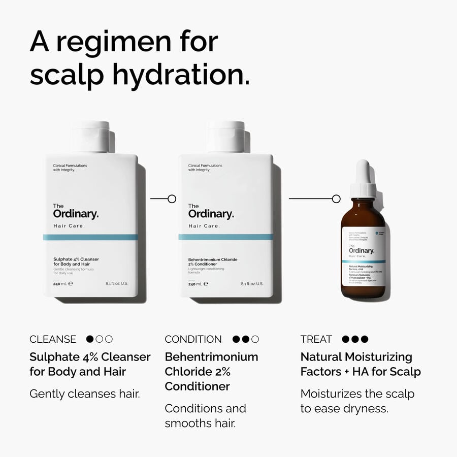 Natural Moisturizing Factors + HA for Scalp T3 image 5