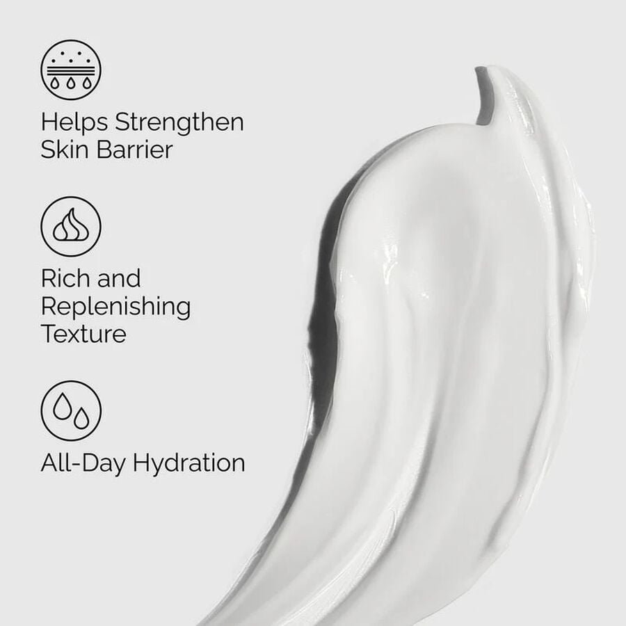 Natural Moisturizing Factors + PhytoCeramides A6 image 4