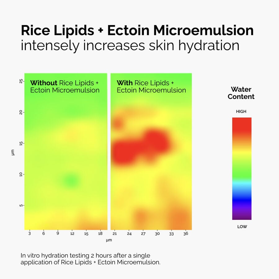 Rice Lipids + Ectoin Microemulsion M4 image 6